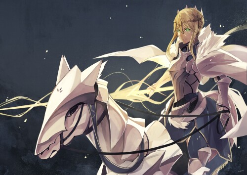Fate_Grand-Order_0583.jpg