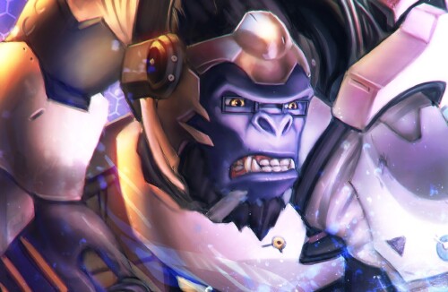 Overwatch_0675.jpg