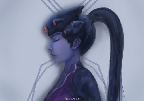 Overwatch_0856.jpg