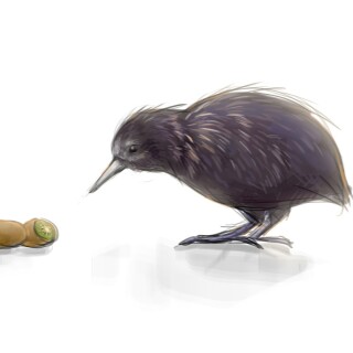 birds1_0124