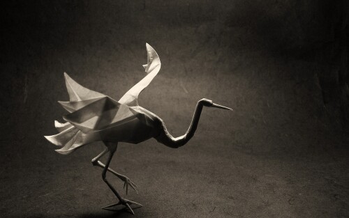 birds1_0168.jpg
