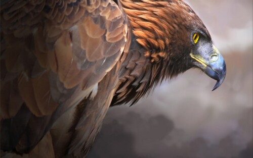 birds1_0182.jpg