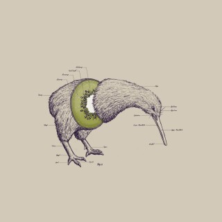 birds1_0431