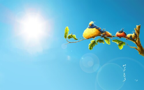 birds1_0542.jpg
