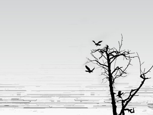 birds1_0660.jpg