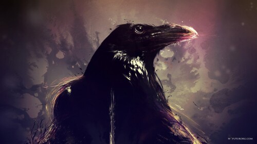 birds1_0705.jpg