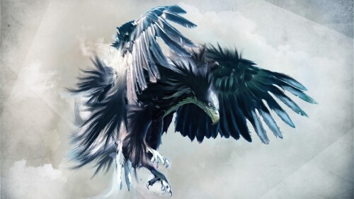 birds1_0762.jpg