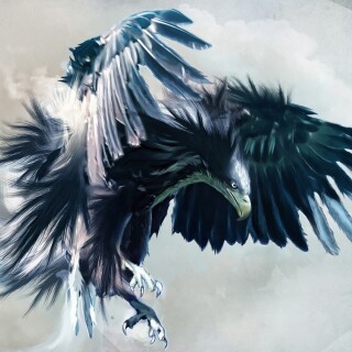 birds1_0762