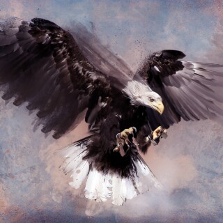 birds1_0843