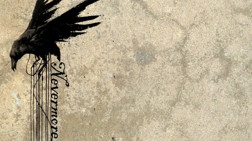 birds1_0884.jpg