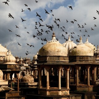 birds1_1047
