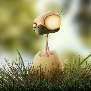 birds1_1110