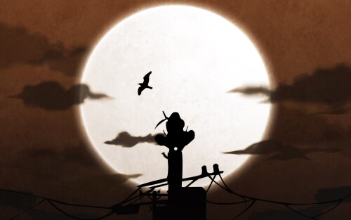 birds1_1196.jpg