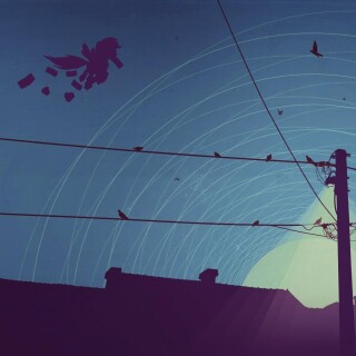 birds1_1250
