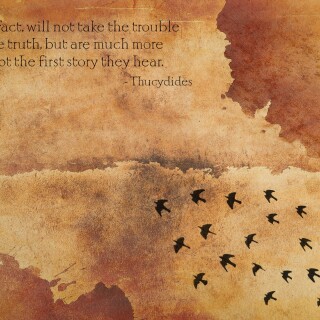 birds1_1277