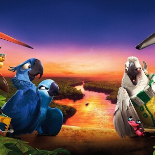 birds1_1284