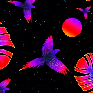birds1_1372