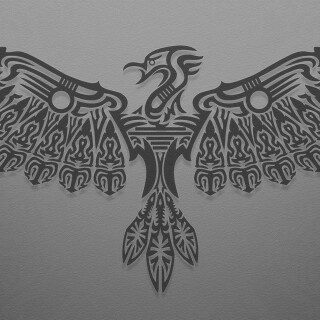 birds1_1581