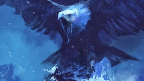 birds1_1676.jpg