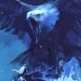 birds1_1676