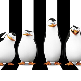 birds1_1749