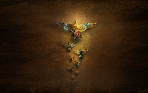 birds1_1786.jpg