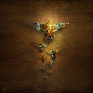 birds1_1786