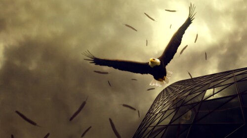 birds1_1792.jpg