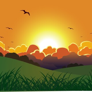 birds1_1804