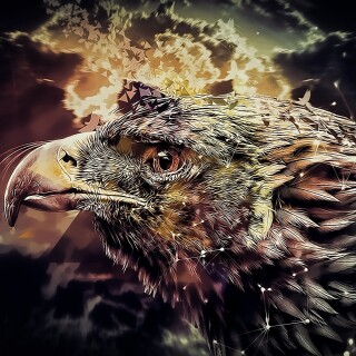 birds1_1839
