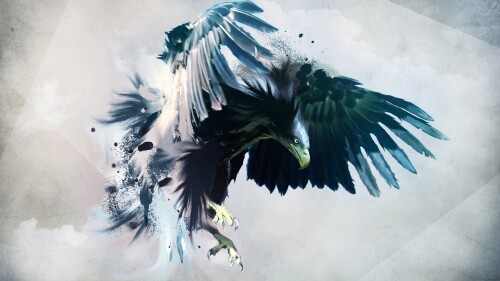 birds1_1897.jpg