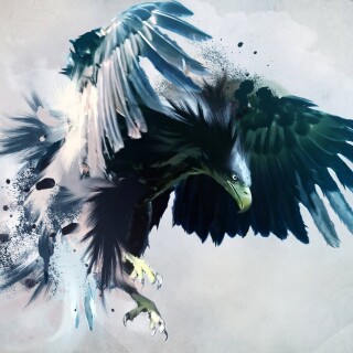 birds1_1897