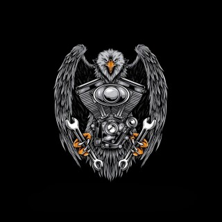 birds1_1901