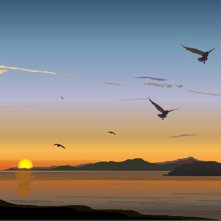 birds1_2108