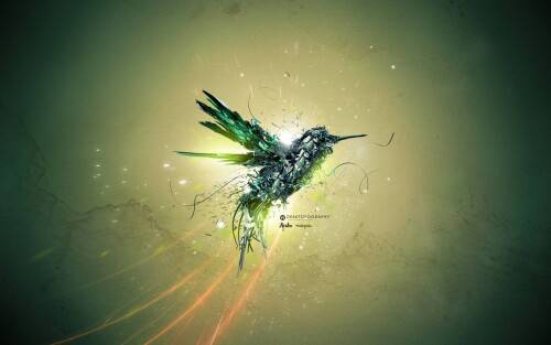birds1_2141.jpg