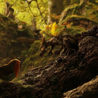 birds1_2158
