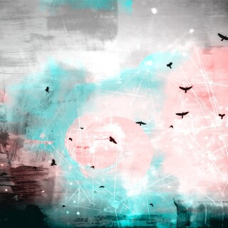 birds1_2206