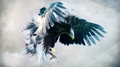 birds1_2282.jpg