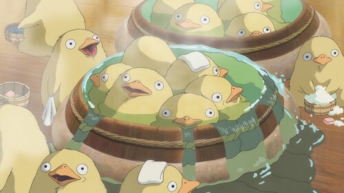 birds1_2316.jpg