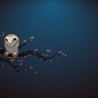 birds1_2371