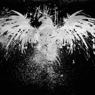 birds1_2424