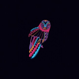birds1_2469