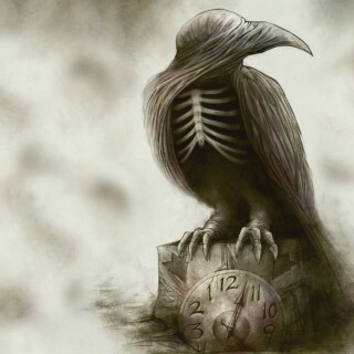 birds1_2472