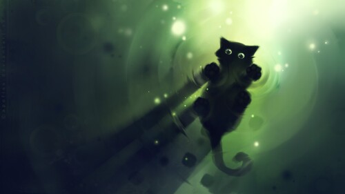 cats1_0064.jpg