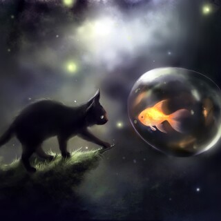 cats1_0131
