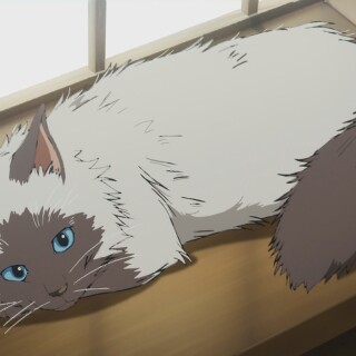 cats1_0314