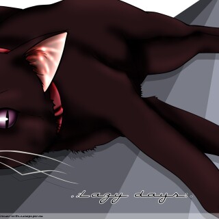 cats1_0685