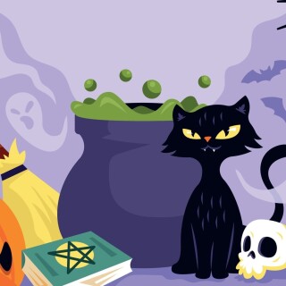 cats1_0712