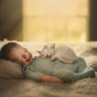 cats1_0735