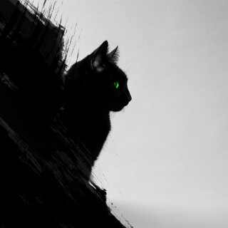 cats1_0813